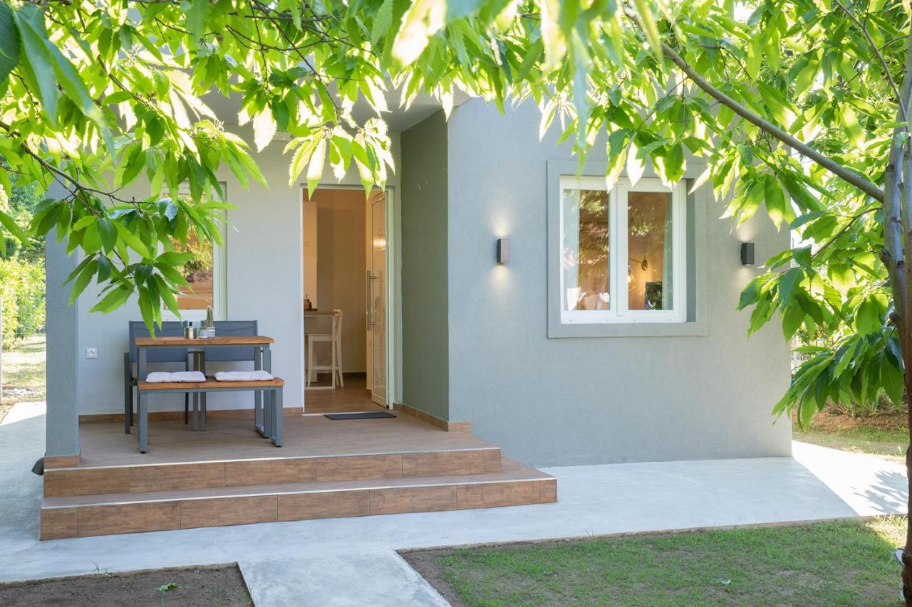 公寓 Elena Luxury Living Paralía Skotínis