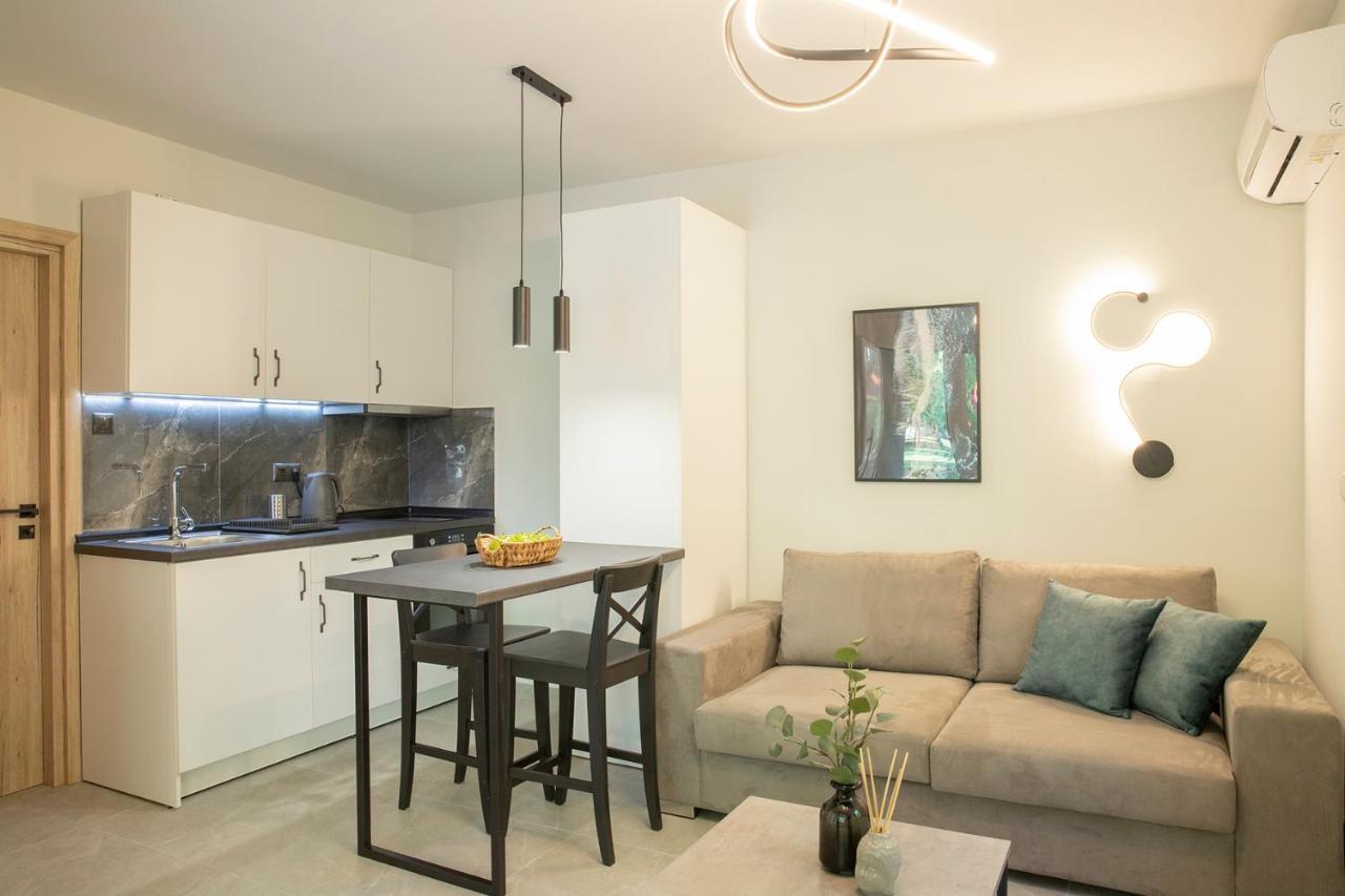 公寓 Elena Luxury Living Paralía Skotínis