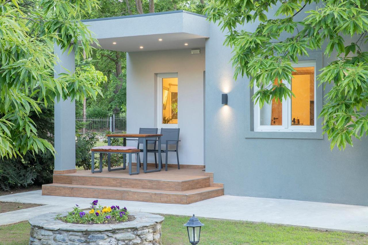 公寓 Elena Luxury Living Paralía Skotínis