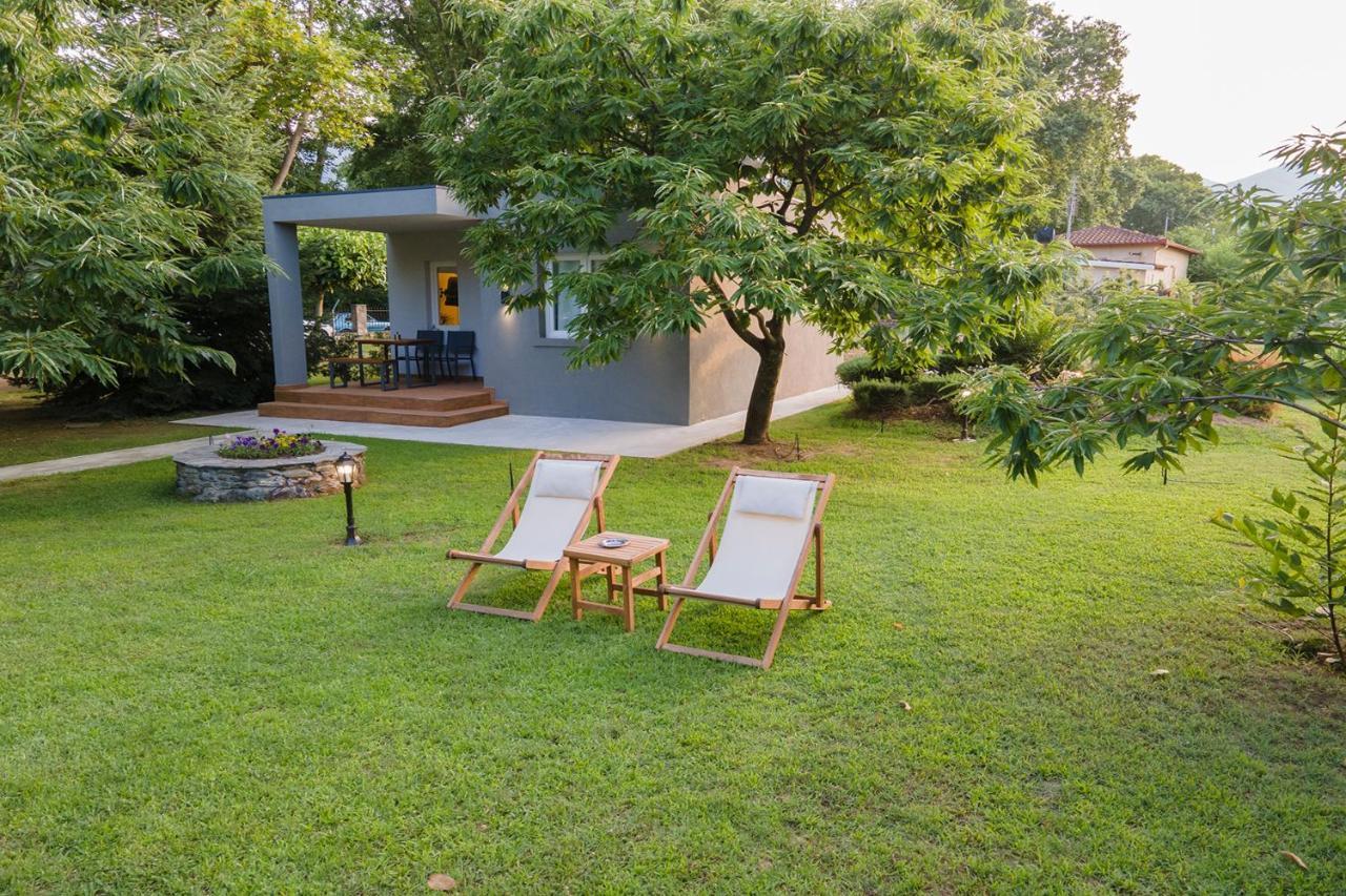 Elena Luxury Living *